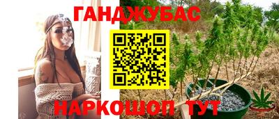 ECSTASY Заволжье