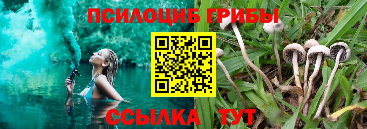 как найти наркотики  Галлюциногенные грибы мицелий  Вход с VPN  Кунгур 