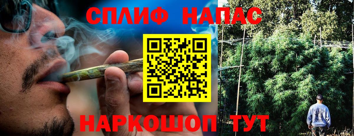 Кунгур  Каннабис семена  Вход с VPN  Каннабис SATIVA & INDICA 
